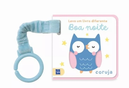 LEVA UM LIVRO DIFERENTE - BOA NOITE - CORUJA