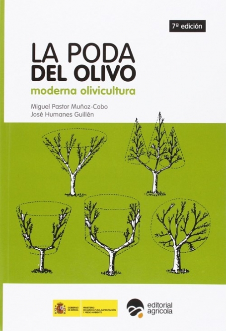 Poda del olivo - Moderna olivicultura (oliveira)
