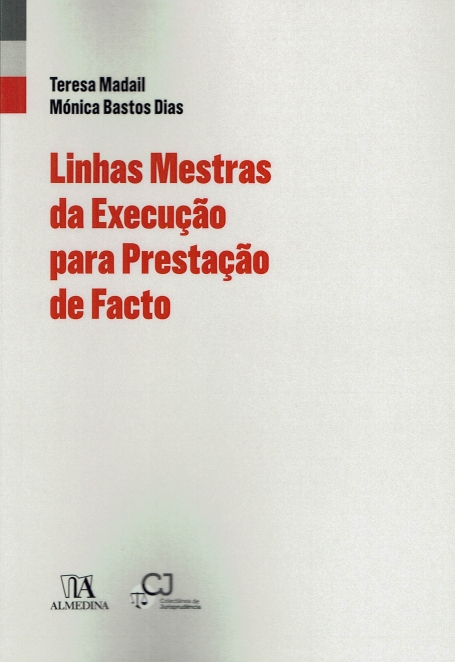 LINHAS MESTRAS DA EXECUÇÃO PARA PRESTAÇÃO DE FACTO
