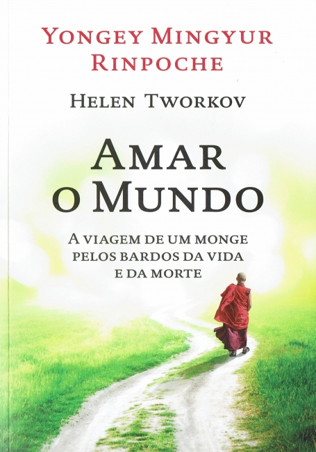 AMAR O MUNDO - A VIAGEM DE UM MONGE PELOS BARDOS DA VIDA E DA MORTE