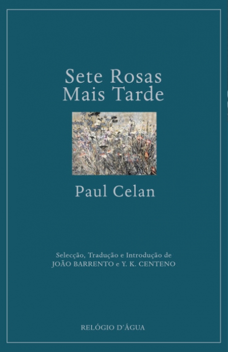 SETE ROSAS MAIS TARDE
