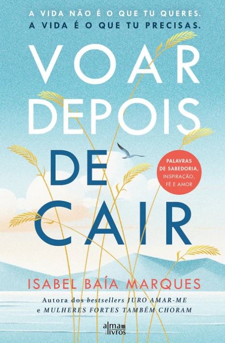 VOAR DEPOIS DE CAIR