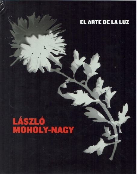 EL ARTE DE LA LUZ