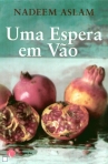 UMA ESPERA EM VAO
