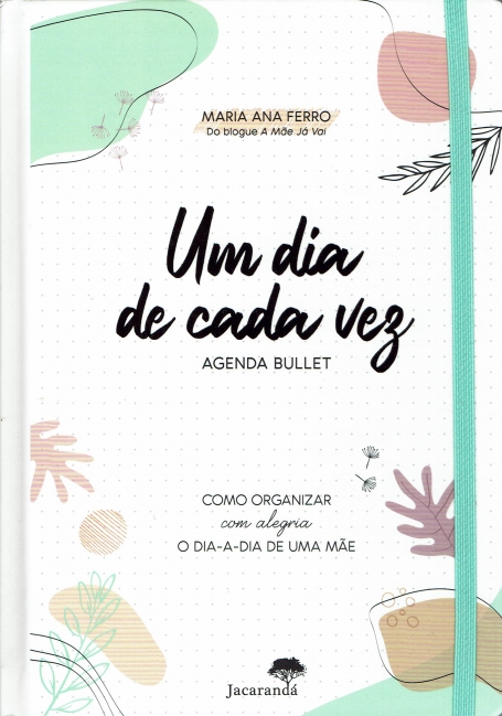 UM DIA DE CADA VEZ - AGENDA BULLET como organizar com alegria o dia-a-dia de uma mae