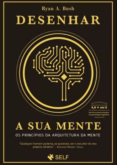 DESENHAR A SUA MENTE - OS PRINCÍPIOS DA ARQUITETURA DA MENTE