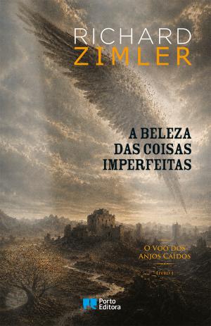 05894.10 - A BELEZA DAS COISAS IMPERFEITAS