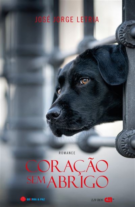 CORAÇÃO SEM ABRIGO