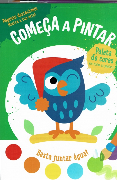 CORUJA , COMEÇA A PINTAR - BASTA JUNTAR ÁGUA! paleta de cores em todas as paginas. Páginas destacáveis, mostra a tua arte!