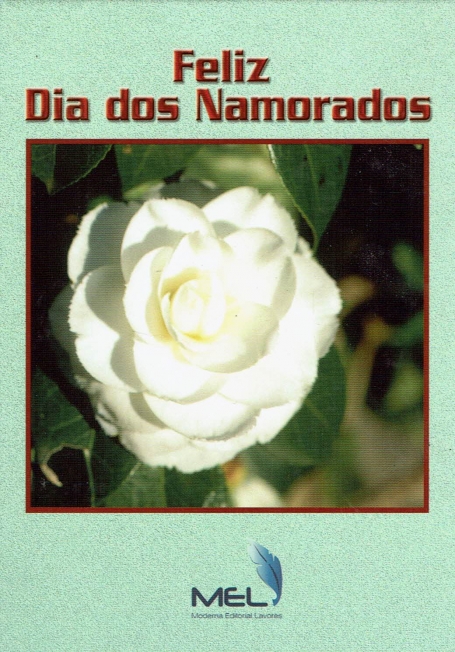 FELIZ DIA DOS NAMORADOS