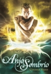 ANJO SOMBRIO