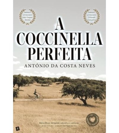 A COCCINELLA PERFEITA
