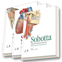 SOBOTTA - ATLAS DE ANATOMIA HUMANA 3 VOLUMES - 23a edicao
