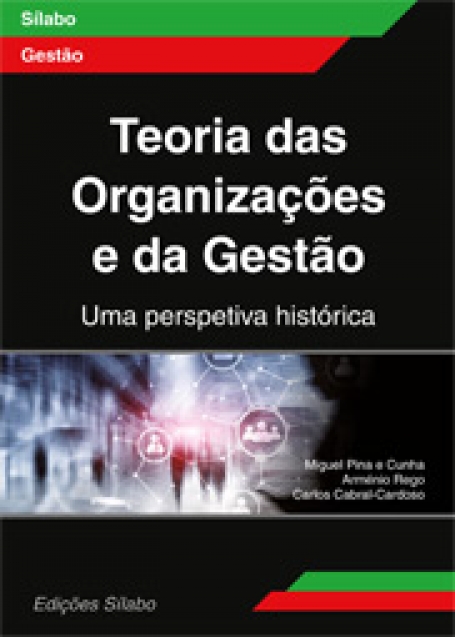 TEORIA DAS ORGANIZAÇÕES E DA GESTÃO - UMA PERSPECTIVA HISTÓRICA