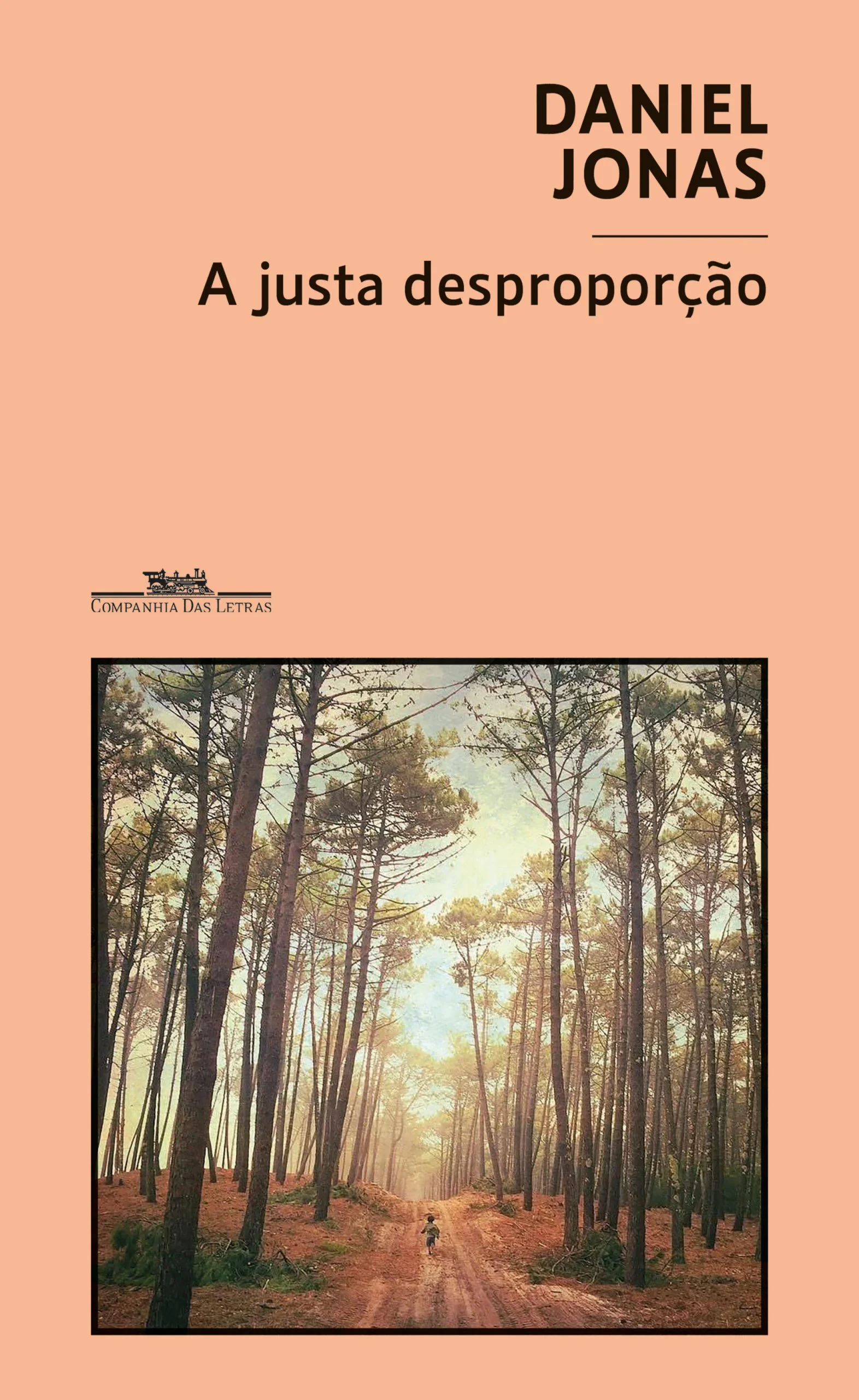 A JUSTA DESPROPORÇÃO