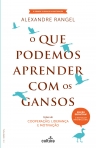 QUE PODEMOS APRENDER COM OS GANSOS - licoes de cooperacao, lideranca e motivacao