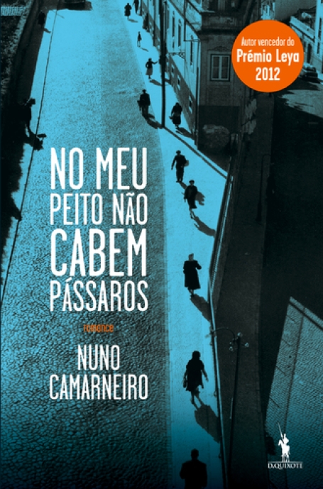 NO MEU PEITO NAO CABEM PASSAROS