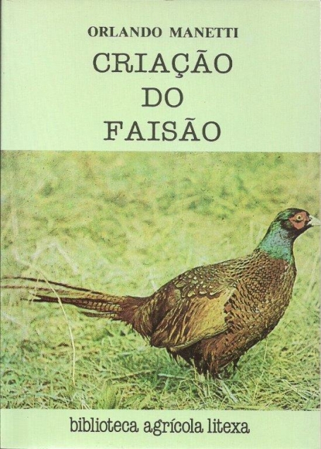 CRIACAO DO FAISAO