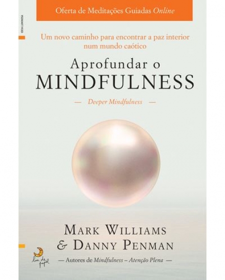 APROFUNDAR O MINDFULNESS