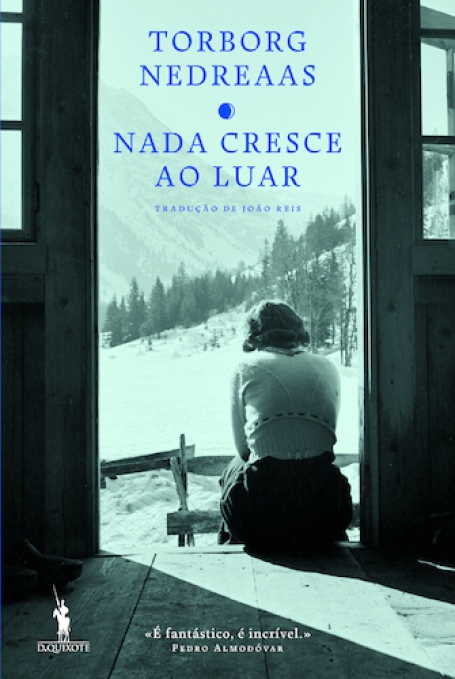 NADA CRESCE AO LUAR