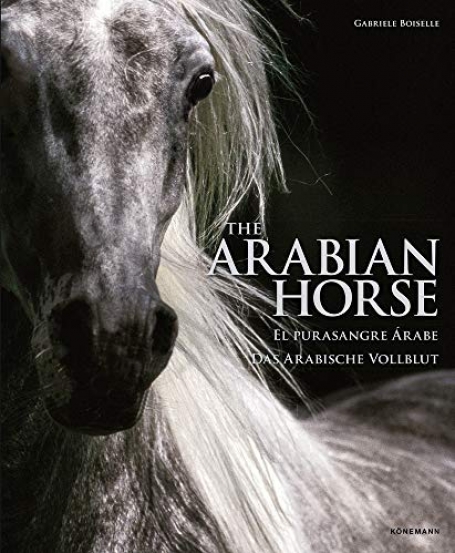 THE ARABIAN HORSE