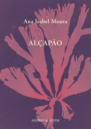 79623.10  - ALÇAPÃO