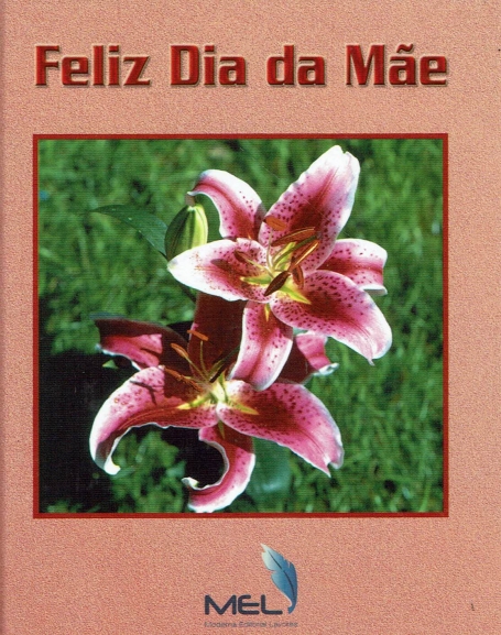FELIZ DIA DA MAE