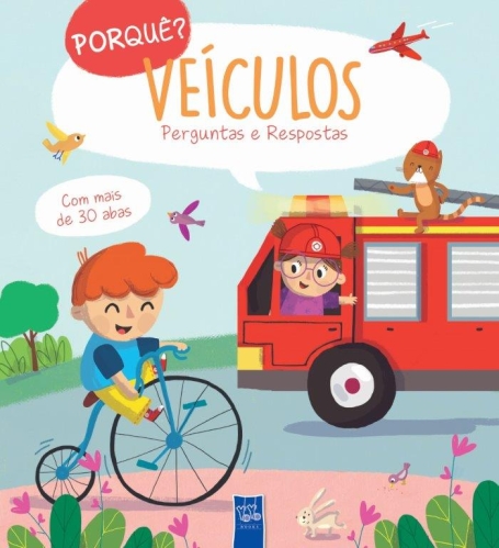VEÍCULOS - PORQUÊ? PERGUNTAS E RESPOSTAS
