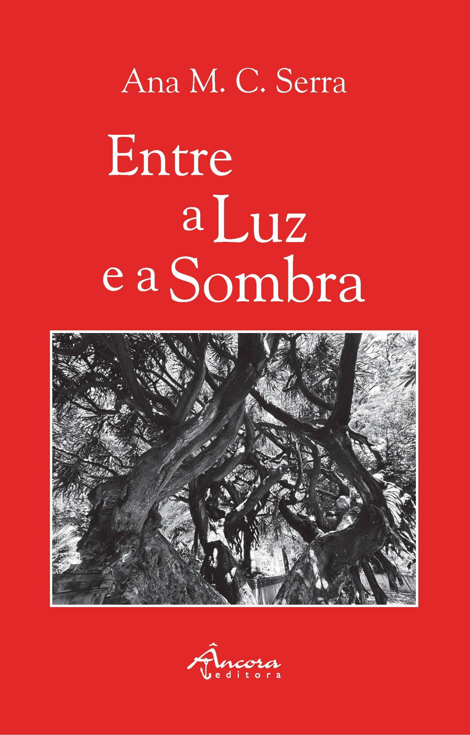 ENTRE A LUZ E A SOMBRA