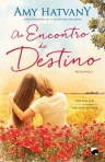 AO ENCONTRO DO DESTINO