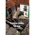 A POUCOS PALMOS DO CHAO
