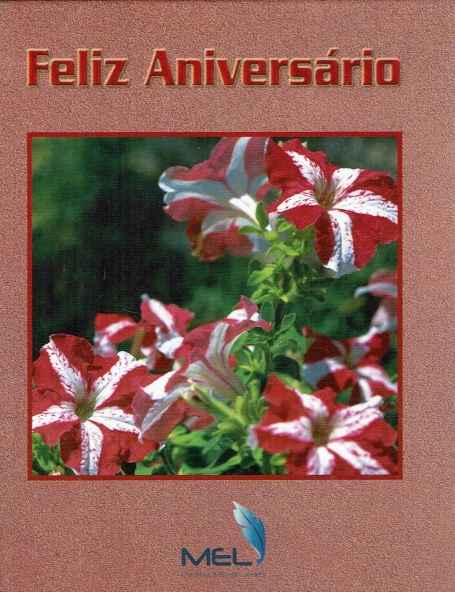 FELIZ ANIVERSARIO - COL. OFERTAS