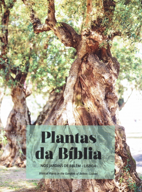PLANTAS DA BÍBLIA - NOS JARDINS DE BELÉM, LISBOA