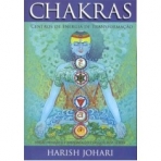 CHAKRAS - CENTROS DE ENERGIA DE TRANSFORMACAO