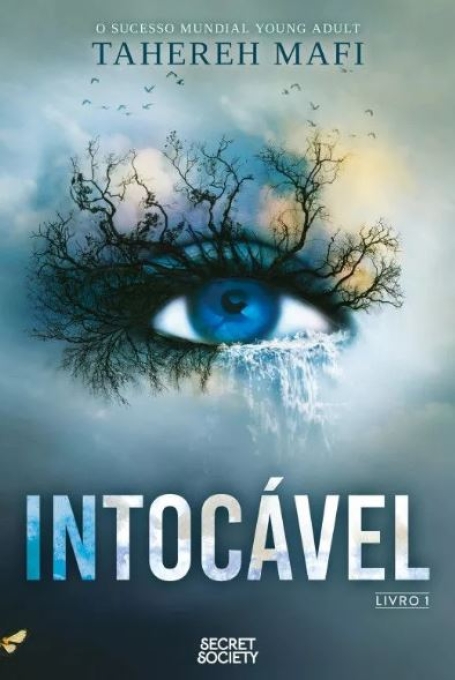 INTOCÁVEL - LIVRO 1