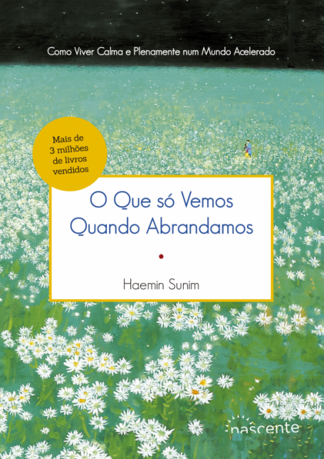 O QUE SÓ VEMOS QUANDO ABRANDAMOS