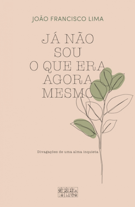 JÁ NÃO SOU O QUE ERA AGORA MESMO