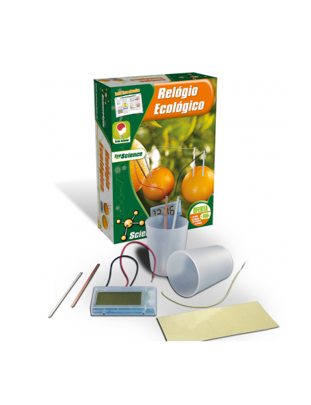 RELOGIO ECOLOGICO - 10 experiencias