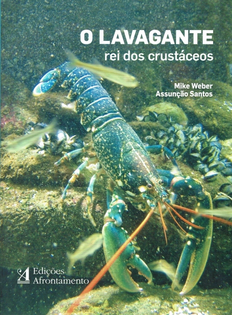 O LAVAGANTE REI DOS CRUSTACEOS